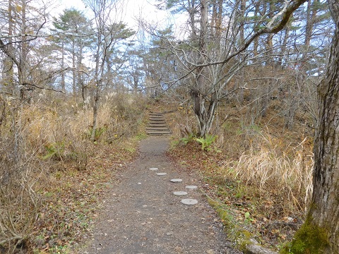 f:id:bata_sun:20181121094232j:plain f:id:bata_sun:20181121094232j:plain