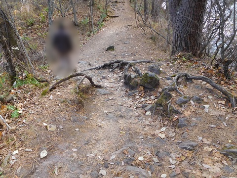 f:id:bata_sun:20181121094439j:plain f:id:bata_sun:20181121094439j:plain