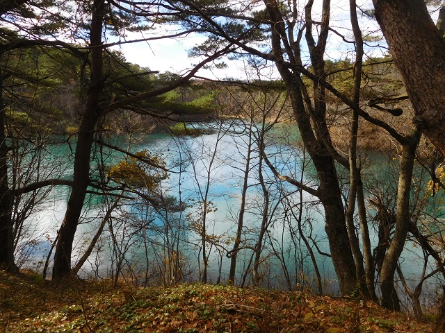 f:id:bata_sun:20181121094534j:plain f:id:bata_sun:20181121094534j:plain