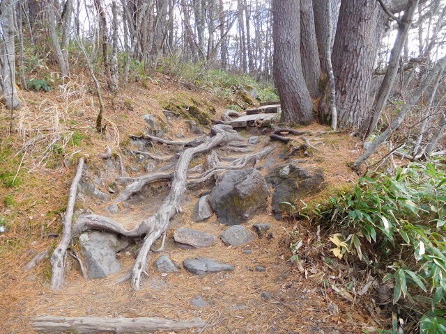 f:id:bata_sun:20181121095003j:plain f:id:bata_sun:20181121095003j:plain