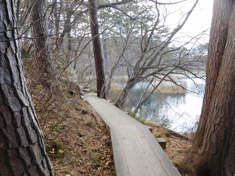 f:id:bata_sun:20181121095101j:plain f:id:bata_sun:20181121095101j:plain