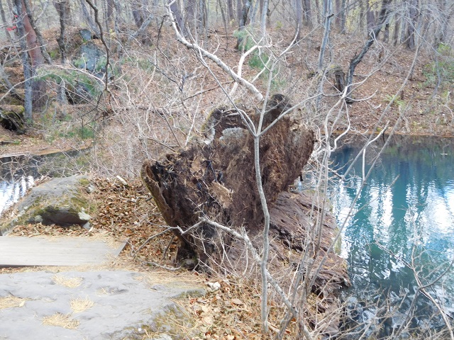 f:id:bata_sun:20181121095200j:plain f:id:bata_sun:20181121095200j:plain