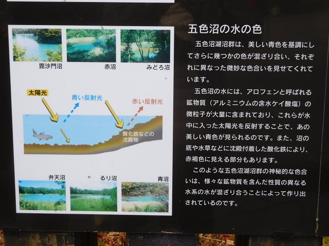 f:id:bata_sun:20181121100141j:plain f:id:bata_sun:20181121100141j:plain