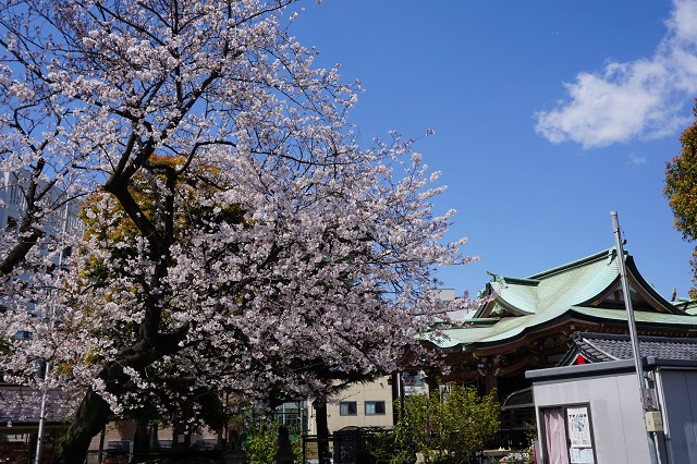 f:id:bata_sun:20190404110344j:plain