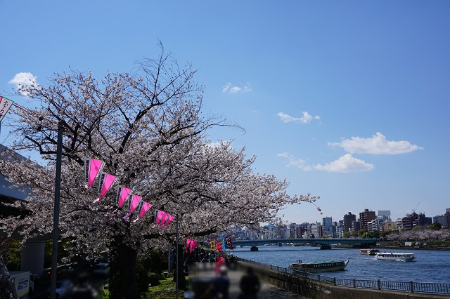 f:id:bata_sun:20190404110811j:plain