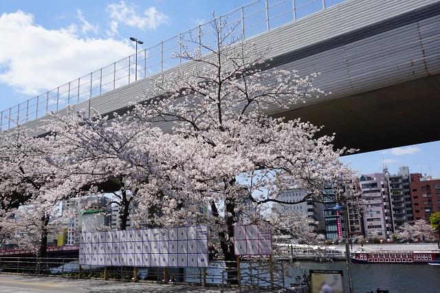 f:id:bata_sun:20190404111238j:plain