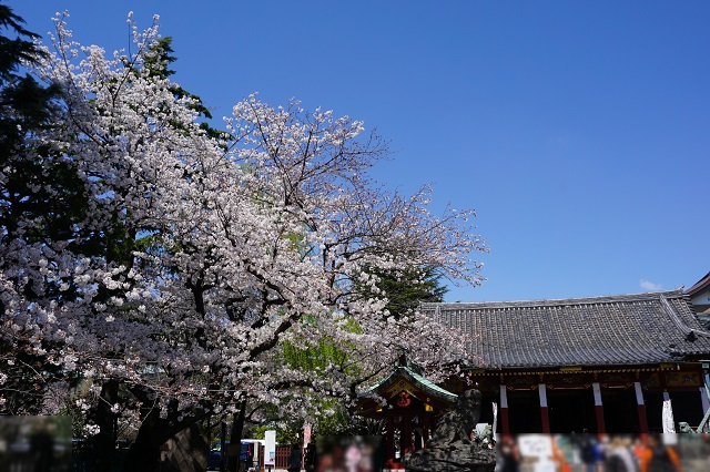 f:id:bata_sun:20190404111517j:plain