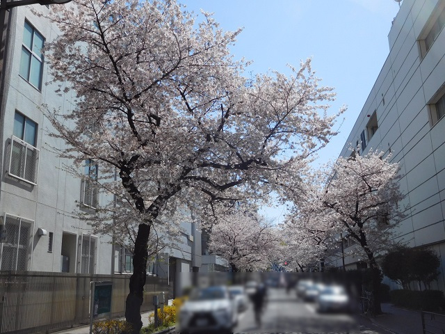 f:id:bata_sun:20190404112622j:plain