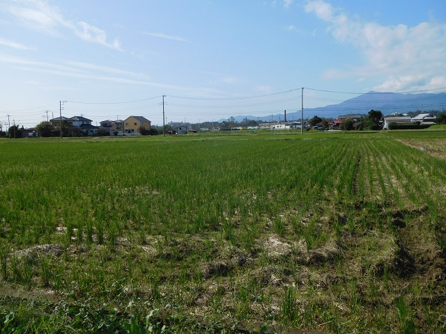 f:id:bata_sun:20191031123236j:plain