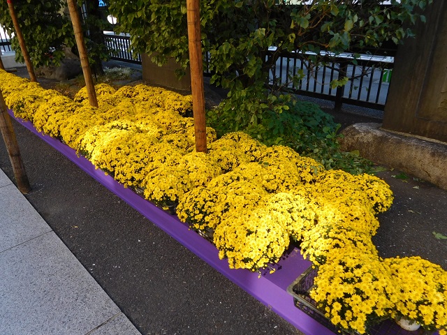 f:id:bata_sun:20191106205405j:plain f:id:bata_sun:20191106205405j:plain