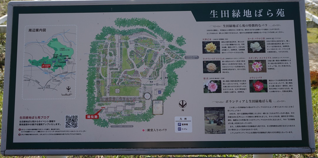 f:id:bata_sun:20191109173054j:plain f:id:bata_sun:20191109173054j:plain