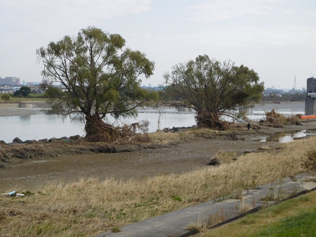 f:id:bata_sun:20191114085204j:plain