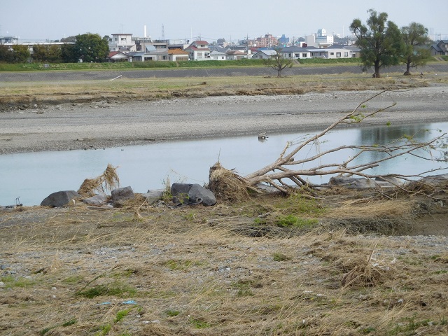 f:id:bata_sun:20191114085214j:plain