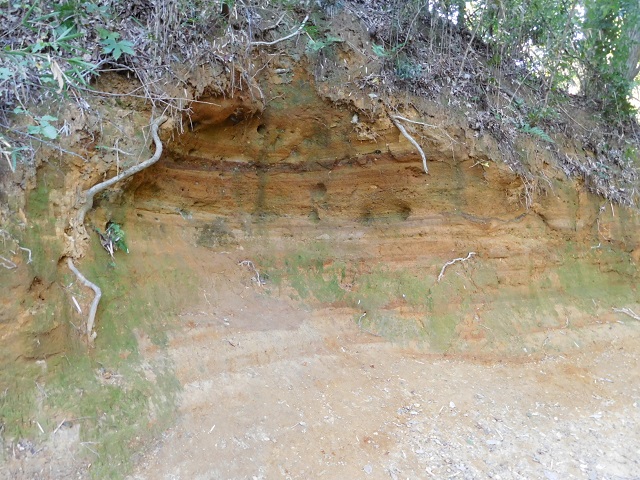 f:id:bata_sun:20191115174553j:plain