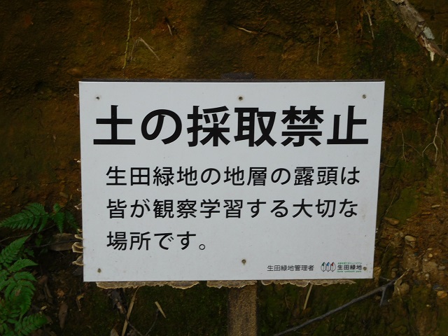 f:id:bata_sun:20191115174639j:plain