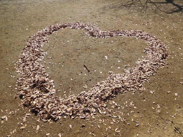 f:id:bata_sun:20191115180300j:plain