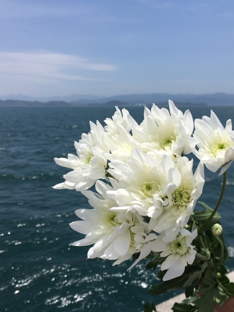 f:id:batabata-kaachan:20191221143827j:plain f:id:batabata-kaachan:20191221143827j:plain