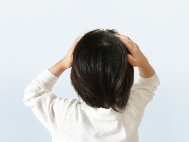 f:id:batabata-kaachan:20200112012933j:plain f:id:batabata-kaachan:20200112012933j:plain