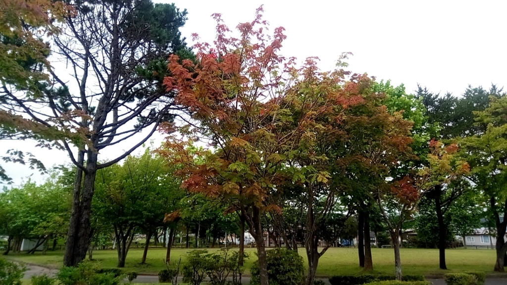 f:id:batabatabata:20180811235623j:plain