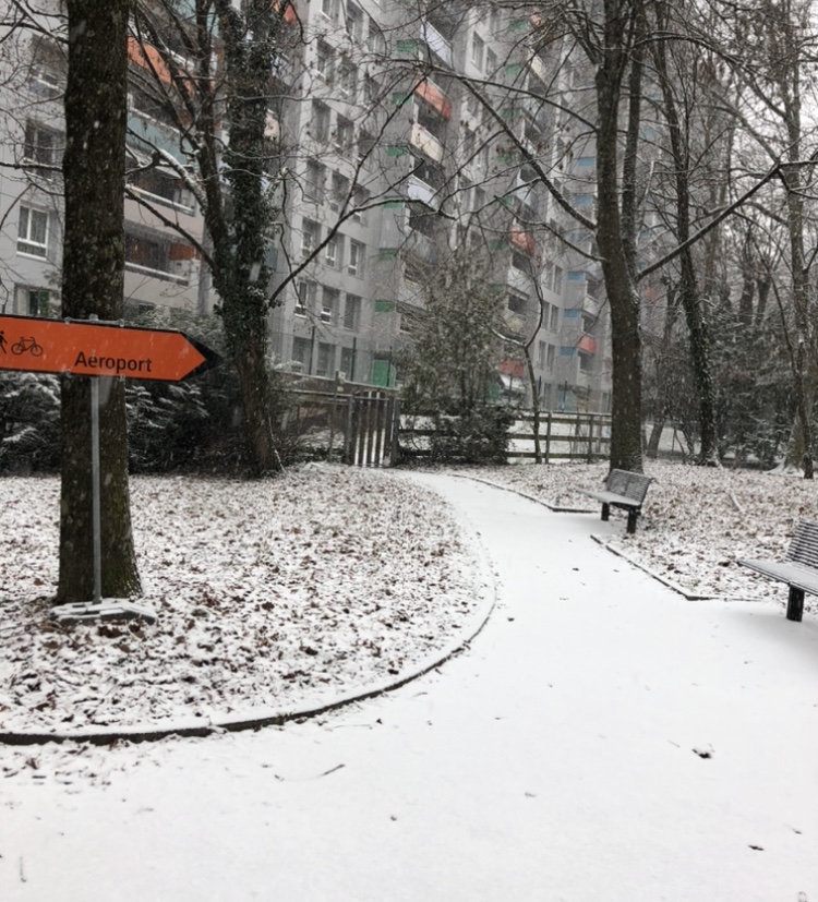 大雪国境越えウォーキング フランス スイス編 Bonjour バタバタママ スイスのびのび生活