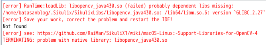 Sikulix Error on AWS Workspaces Sikulix Error on AWS Workspaces