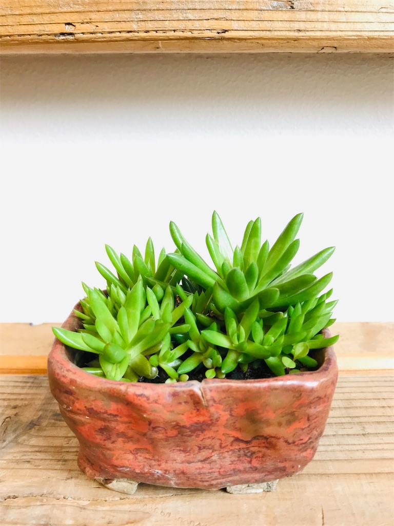 f:id:batel:20190623095758j:image