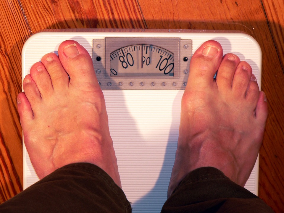 f:id:bathroomscales:20160829061932j:plain f:id:bathroomscales:20160829061932j:plain
