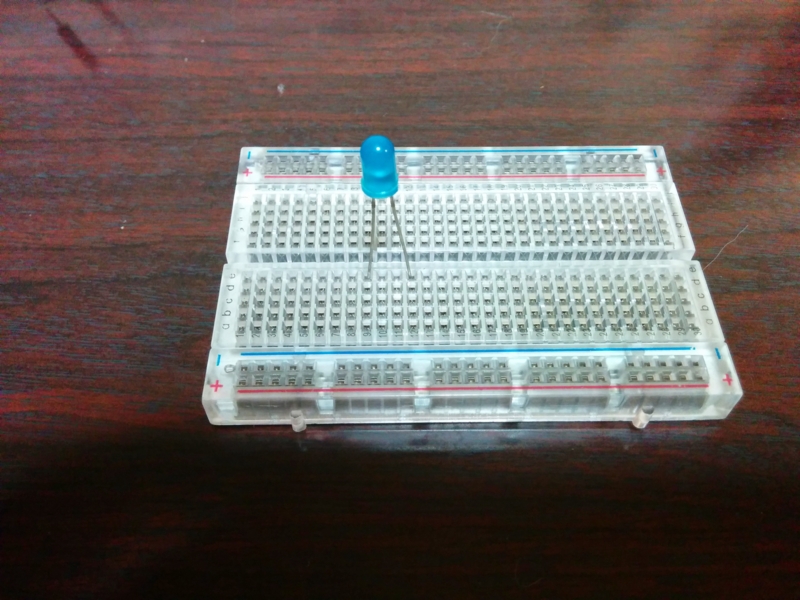 f:id:bathtimefish:20141206211214j:plain f:id:bathtimefish:20141206211214j:plain