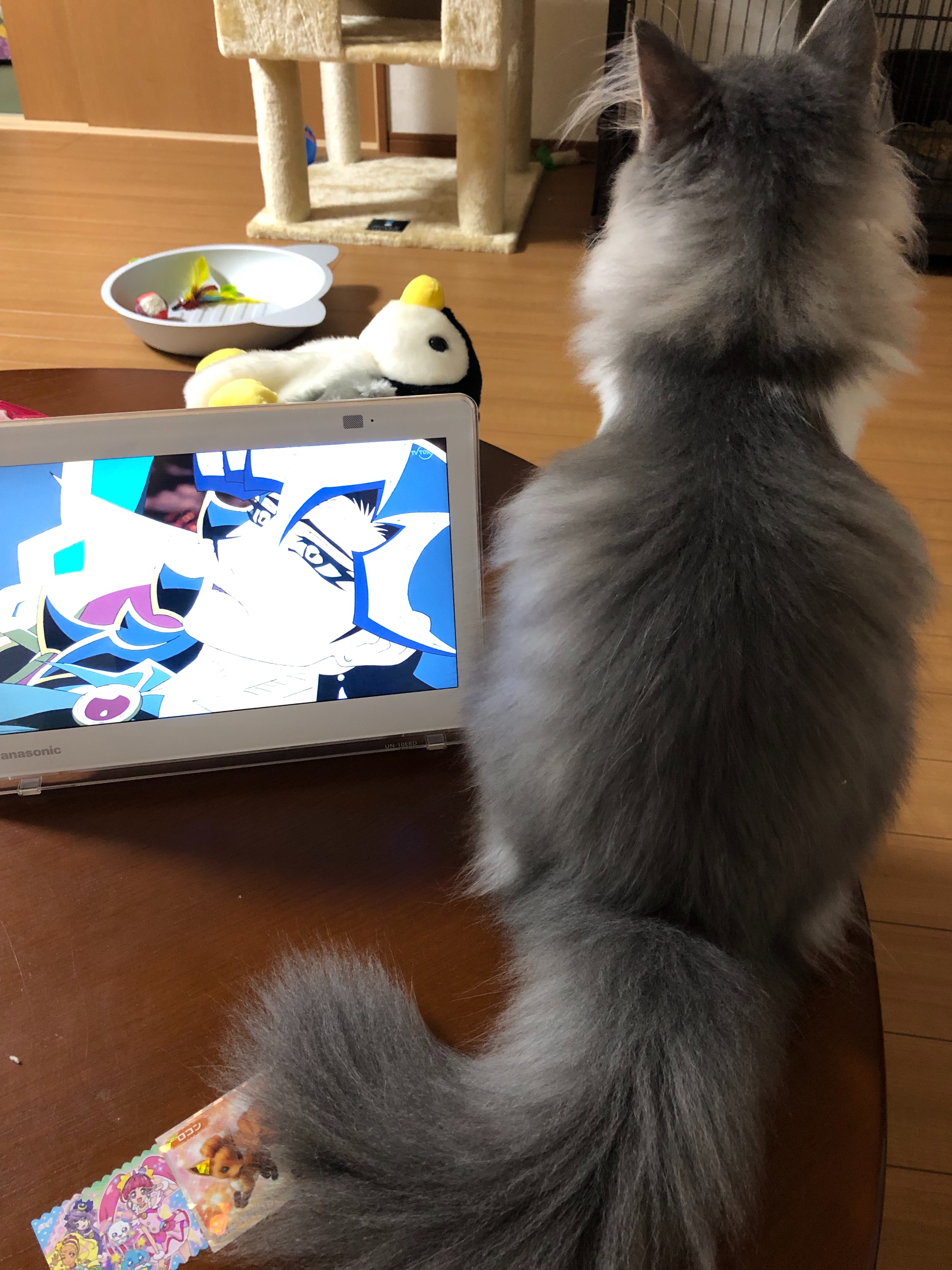 遊戯王vrains最終回 打ち切り 次回作は2020年 おいしくなりたいひと 遊戯王vrains最終回 打ち切り 次回作は2020年 おいしくなりたいひと