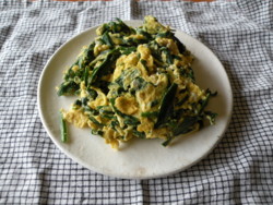 f:id:batolife:20100525161458j:image f:id:batolife:20100525161458j:image