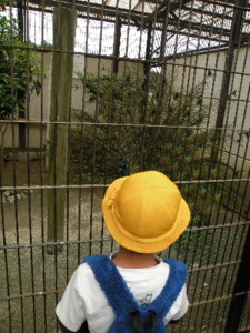 f:id:batolife:20100528110047j:image f:id:batolife:20100528110047j:image