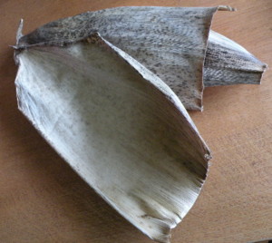 f:id:batolife:20100529101300j:image f:id:batolife:20100529101300j:image