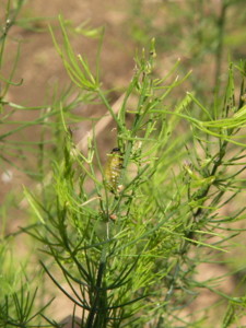 f:id:batolife:20100601104655j:image f:id:batolife:20100601104655j:image