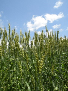 f:id:batolife:20100601104825j:image f:id:batolife:20100601104825j:image