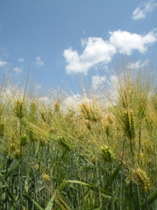 f:id:batolife:20100601104855j:image f:id:batolife:20100601104855j:image