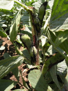 f:id:batolife:20100601105437j:image f:id:batolife:20100601105437j:image