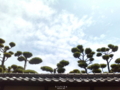 甍
