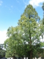 20091010150301 20091010150301