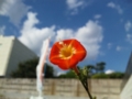 20091022003842