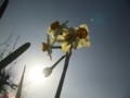 20100131035910