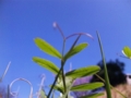 20100302053730