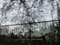 20100402105353