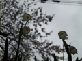 20100402105358