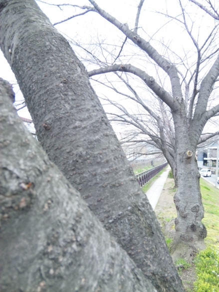 20100417043234