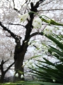 20100417045458