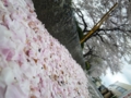 20100417045725