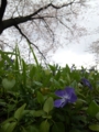 20100417045730