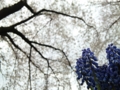 20100417045734