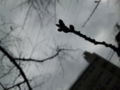 20100417045929