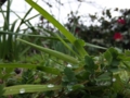 20100417045942